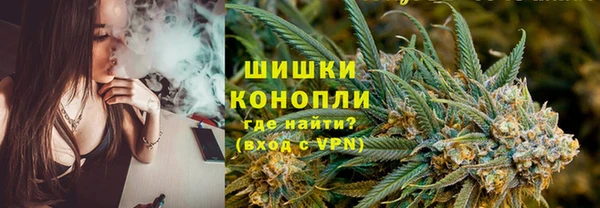 дурь Киреевск