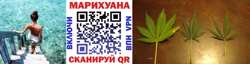 Бошки Шишки марихуана  Макаров 